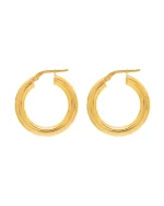 Σκουλαρίκια κρίκοι ασημένια-επιχρυσωμένα