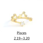 Δαχτυλίδια Ζωδιακού κύκλου - Image 5