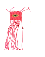 Κολιέ μακραμέ - Image 4