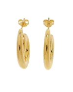 Σκουλαρίκια ασημένια-επιχρυσωμένα - Image 2